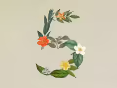 Anthropic Claude Sonnet 5 模型將維持首發優惠價,不再恢復原價