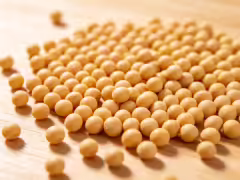 我國科學家發佈大豆垂直大模型“豐菽”2.0,推動實現輔助育種