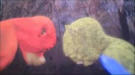 假如用AI搓一部《牛來》,得花多少錢?