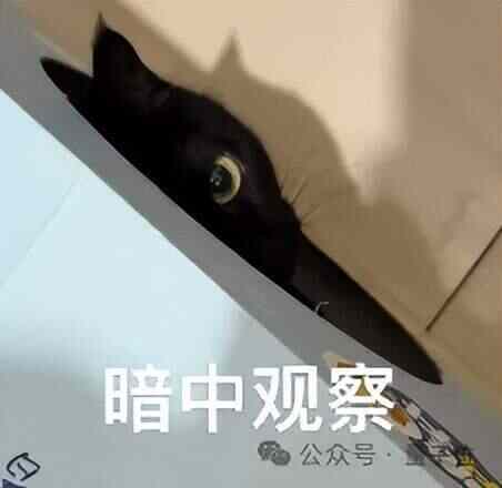 资讯图片